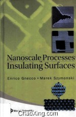 Nanoscale Processes <em>on</em> Insulating Surfaces