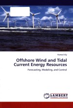 Offshore wind <em>and</em> tidal current energy resources: forecasing