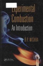 Experimental combustion an <em>introduction</em>