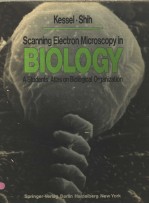 SC<em>A</em>NNING ELECTRON MICROSCOPY IN BIOLOGY <em>A</em> <em>STUDENTS</em>’<em>A</em>TL<em>A</em>S ON BIOLOGIC<em>A</em>L ORG<em>A</em>NIZ<em>A</em>TION