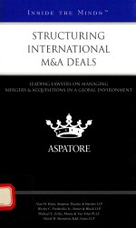 STRUCTURING INTERNATIONAL <em>M</em> AND A DEALS