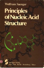 PRINCIPLES <em>OF</em> NUCLEIC ACID <em>STRUCTURE</em>