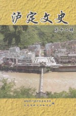 泸定<em>文史</em>  第12辑