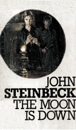 <em>The</em> Moon I<em>s</em> Down