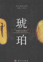 琥珀  穿越时空的精灵