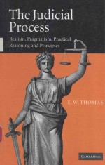 THE <em>JUDICIAL</em> PROCESS REALISM