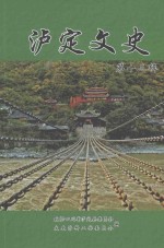泸定<em>文史</em>  第13辑
