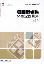 项目型销售经典案例剖析  第2版