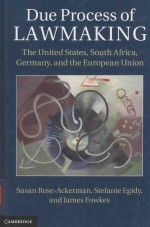 DUE <em>PROCESS</em> <em>OF</em> LAWMAKING <em>THE</em> UNITED STATES