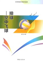 排球  空中飞球
