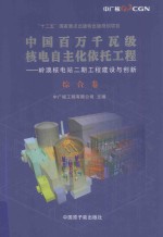 中国百万千瓦级核电自主化依托工程  岭澳核电站二期工程建设与创新  综合卷