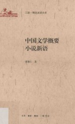 三联·精选阅读文库  中国文学概要  小说新语