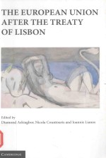 THE EUROPEAN UNION <em>AFTER</em> THE TREATY <em>OF</em> LISBON