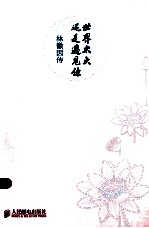 世界太大还是遇见你  林徽因<em>传</em>