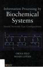 Information Processing By Biochemical Systems <em>Neural</em> <em>Network</em>-Type Configurations