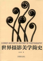 <em>世界</em>摄影美学简史
