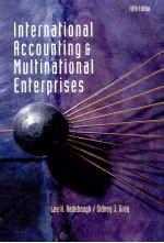 International Accounting and Multinational Enterprises <em>Fifth</em> <em>Edition</em>