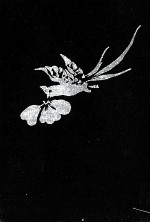 萬葉<em>集注</em>釋:20