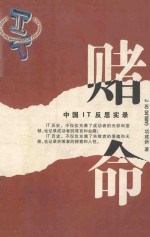 <em>IT</em>赌命 中国<em>IT</em>反思实录