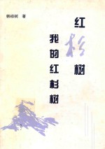 红杉树  我的红杉树