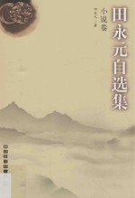 田<em>永元</em>自选集  小说卷