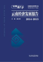 云南蓝皮书  2014-2015云南经济发展报告