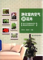 净化室内<em>空气</em>的花卉