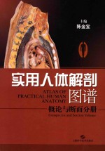 实用人体解剖图谱  概论与断面分册