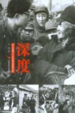 深度  惊心动魄三十多年国运家事纪实
