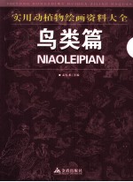 实用动植物绘画资料大全  鸟类篇