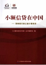 小额信贷<em>在</em>中国：艰难前行的公益小额信贷