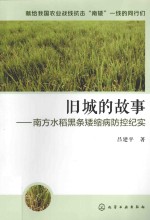 旧城的故事  南方水稻黑条矮缩病防控纪实