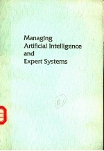 MANAGING ARTIFICIAL INTELLIGENCE AND <em>EXPERT</em> <em>SYSTEMS</em>