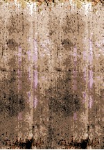 開化期<em>の人</em>々