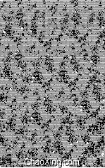 <em>The</em> Byzantine World