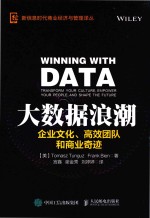 大数据浪潮  企业文化、高效团队和商业奇迹