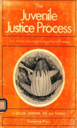 <em>THE</em> JUVENILE JUSTICE <em>PROCESS</em>