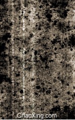 Poverty <em>and</em> Capital Development <em>in</em> <em>In</em>dia