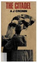 <em>The</em> Citadel