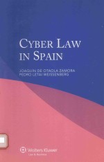 CYBER LAW <em>IN</em> SPA<em>IN</em> JOAQU<em>IN</em> <em>D</em>E OTAOLA ZAMORA PE<em>D</em>RO LETAI WEISSENBERG
