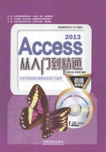 Access 2013从入门到精通  超值视频版