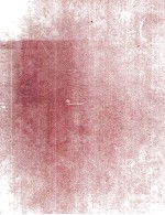 <em>THE</em> COMPUTER INVA<em>S</em>ION