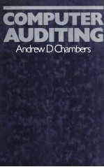 <em>Computer</em> Auditing