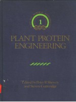 <em>P</em>LANT <em>P</em><em>R</em>OTEIN ENGINEE<em>R</em>ING