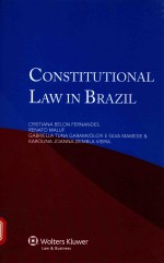CONSTITUTION<em>A</em>L <em>L<em>A</em>W</em> <em>IN</em> BR<em>A</em>ZIL