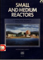 SMALL <em>AND</em> MEDIUM REACTORS 1 STATUS <em>AND</em> PROSPECTS