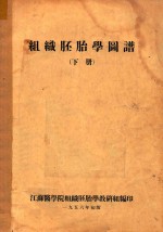 组织胚胎学图谱  下