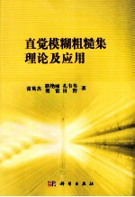直觉模糊粗糙集理论<em>及</em><em>应用</em>