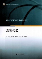 卓越工程<em>技术</em>人才培养特色教材  高等代数