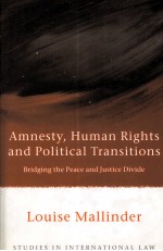 AMNESTY，HUM<em>AN</em> RIGHTS <em>AN</em>D POLITICAL TR<em>AN</em>SITIONS  BRIDGING <em>THE</em> PEACE <em>AN</em>D JUSTICE DIVIDE